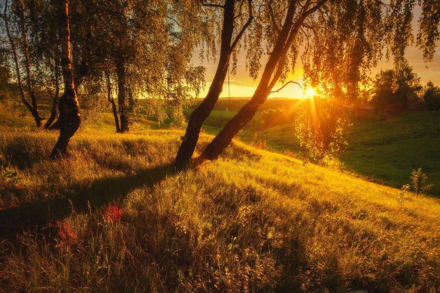 россия, московская область, зарайск, река, восход солнца, рассвет, луг, лес, весна, камни, пейзаж, природа, Оборотов Алексей