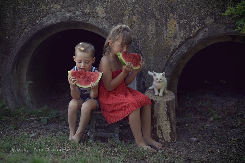 дети, лето, арбузы, котенок фотограф Вера Шамраева Три детства фото превью