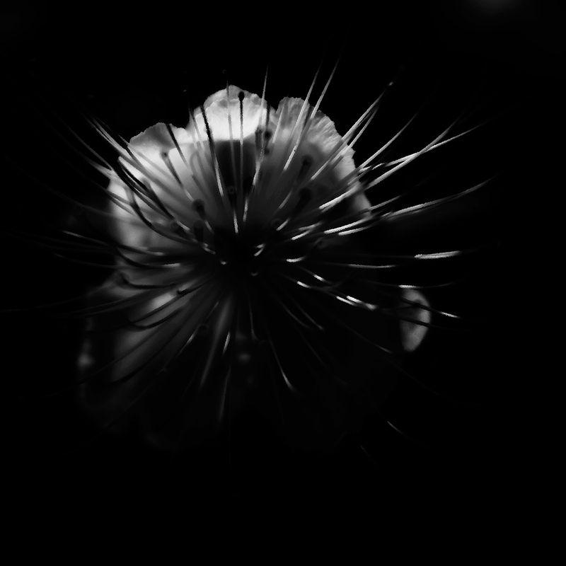 ... фото превью