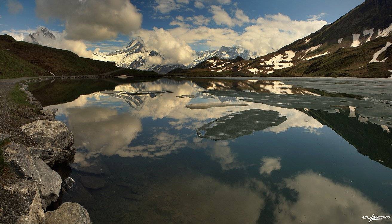 swiss, Матвеев Николай