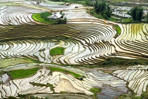 Viet nam