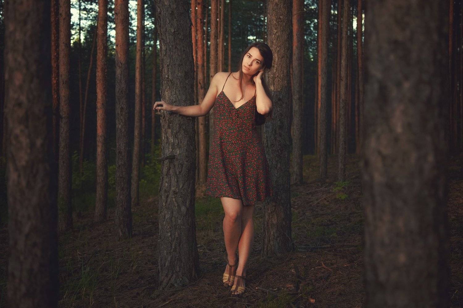 , Рыбин Сергей