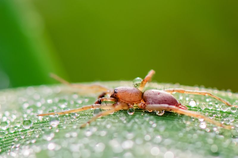 Водные процедуры фото превью