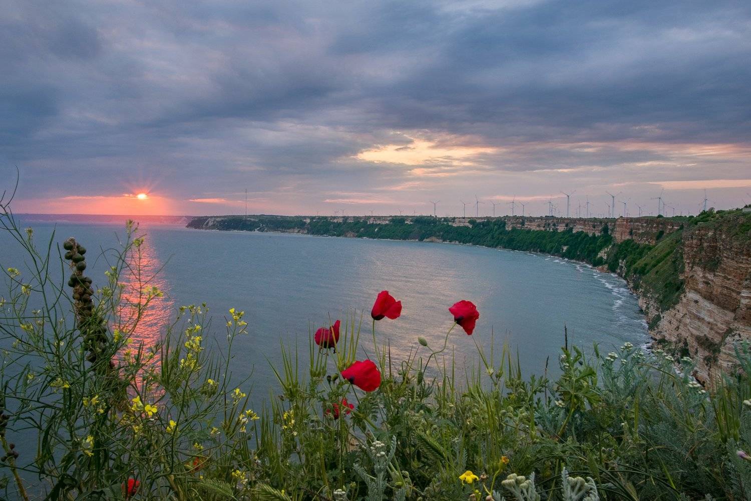 #sunset #kavarna #bulgaria #cape kaliakra #spring #travel #journey #poppy, Mая Врънгова