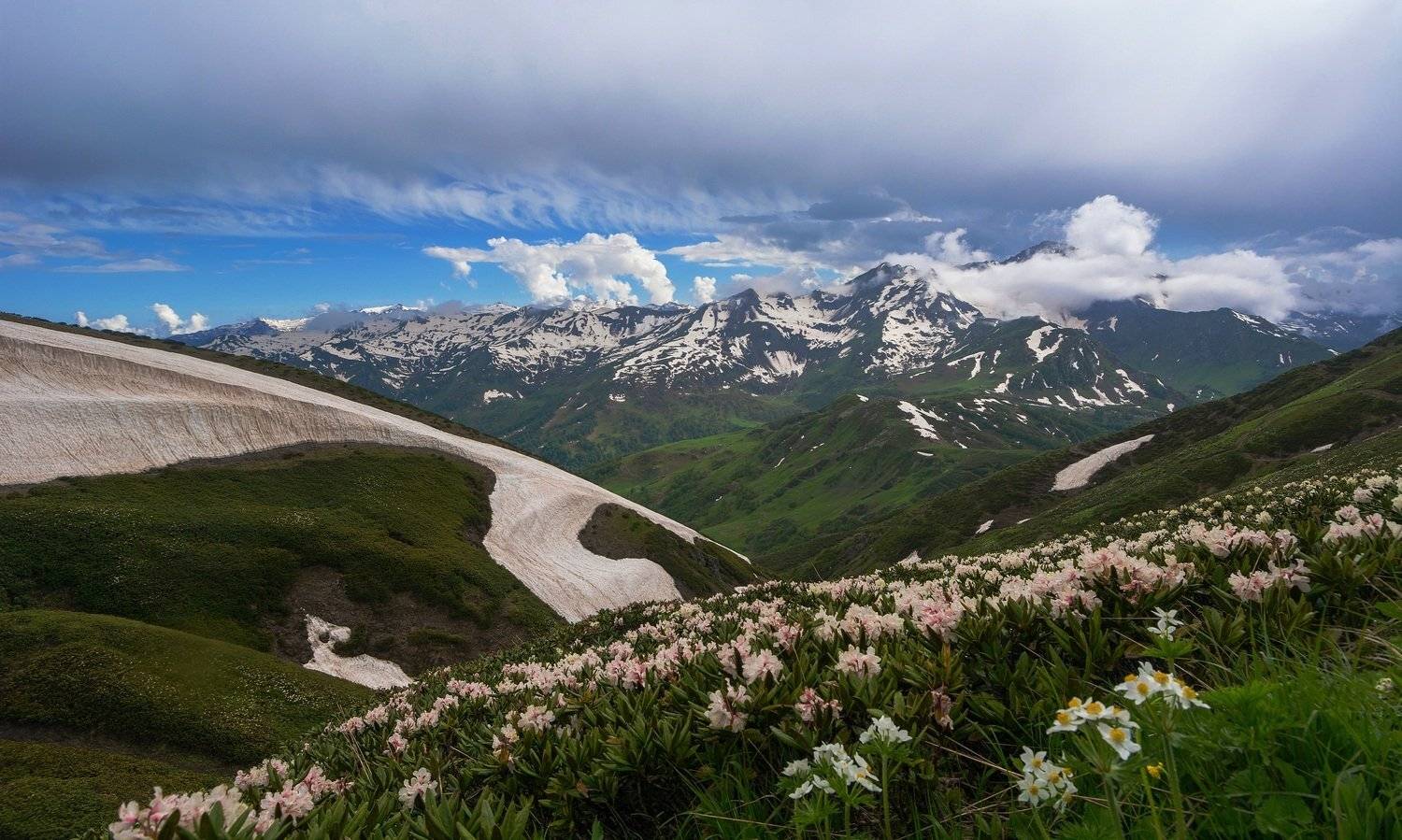 , Руслан Сигушин