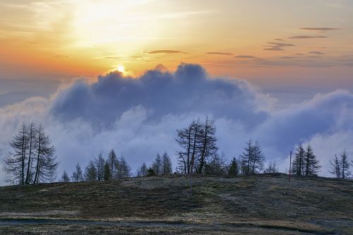 Воины света отступают