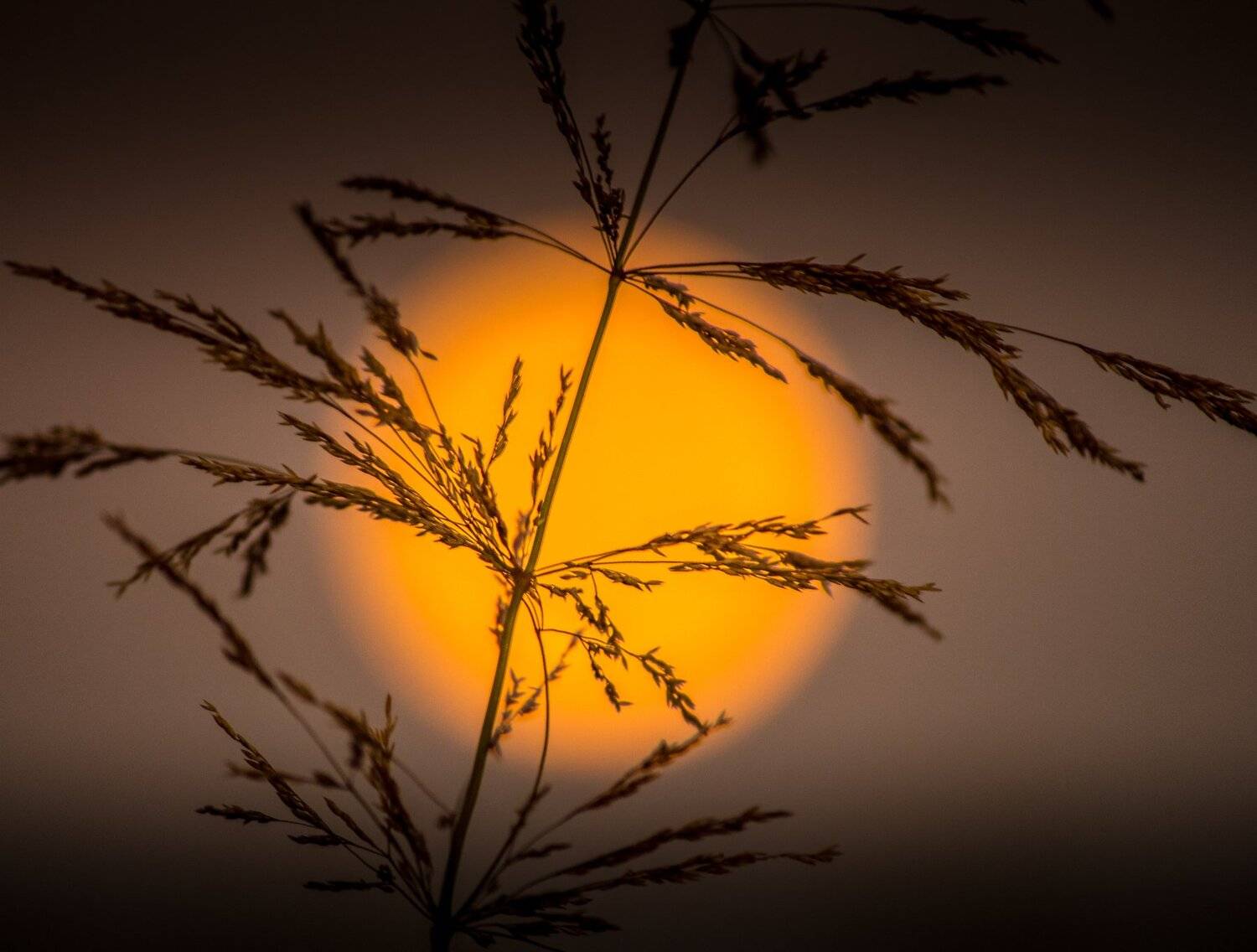 , Руслан Востриков