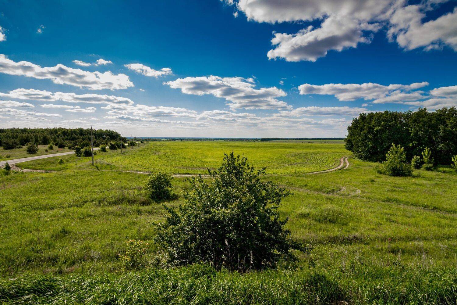 , Руслан Востриков