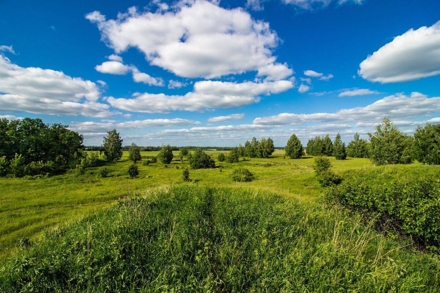 , Руслан Востриков