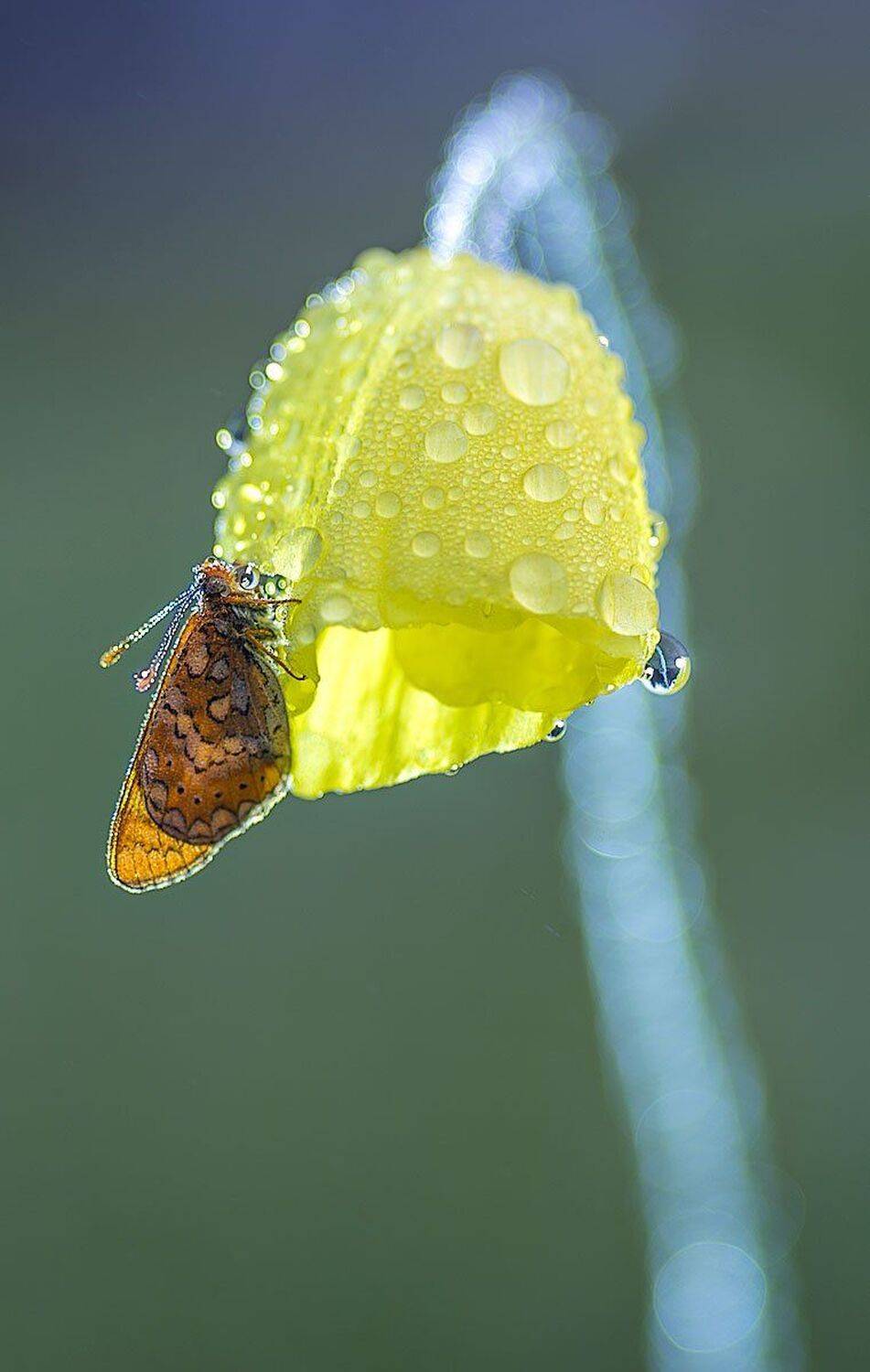 , Сергей Брагин
