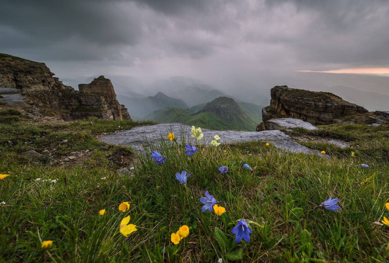 , Николай Мысливцев