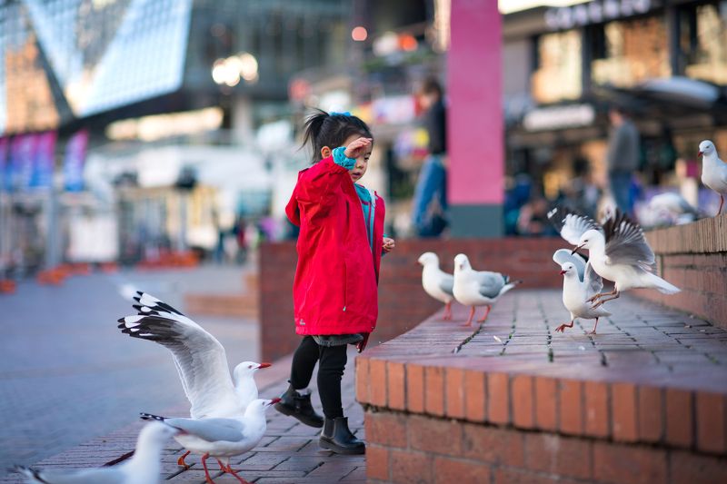darling harbor фото превью