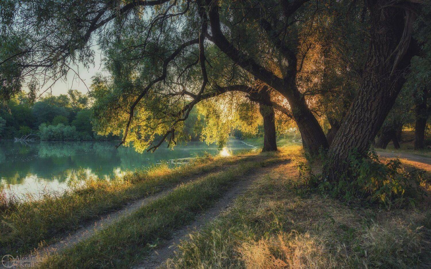 , Александр Круль