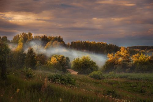 Волшебный вечер