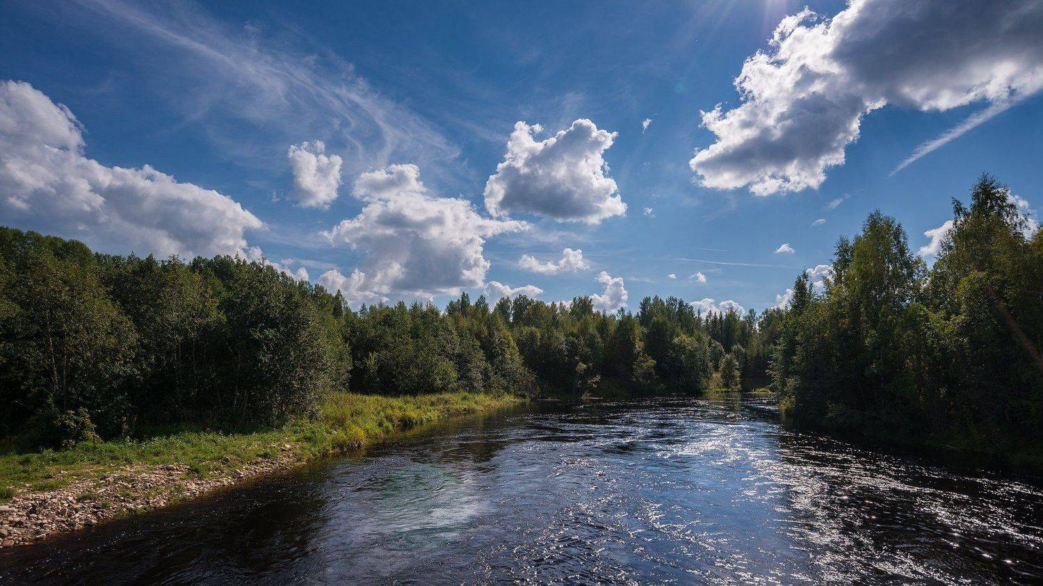 великий двор,вологодчина,кема,север,лето,, Роман Горячий