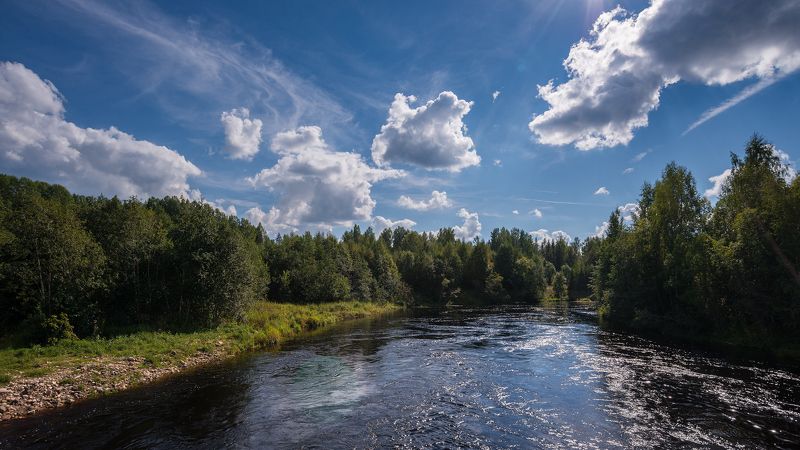 великий двор,вологодчина,кема,север,лето, Кемушка. фото превью