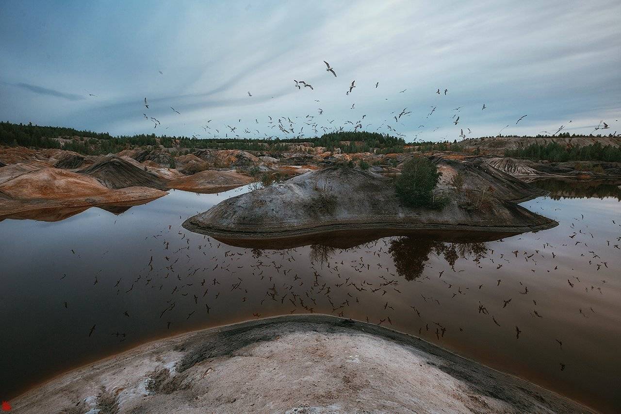 #ежъ #фотоежъ #работа #фотосъемка #yozhphoto #урал #путешествия #canonphoto #wwfrussia yozh-photo.ru, Осипов Ёжъ Александр