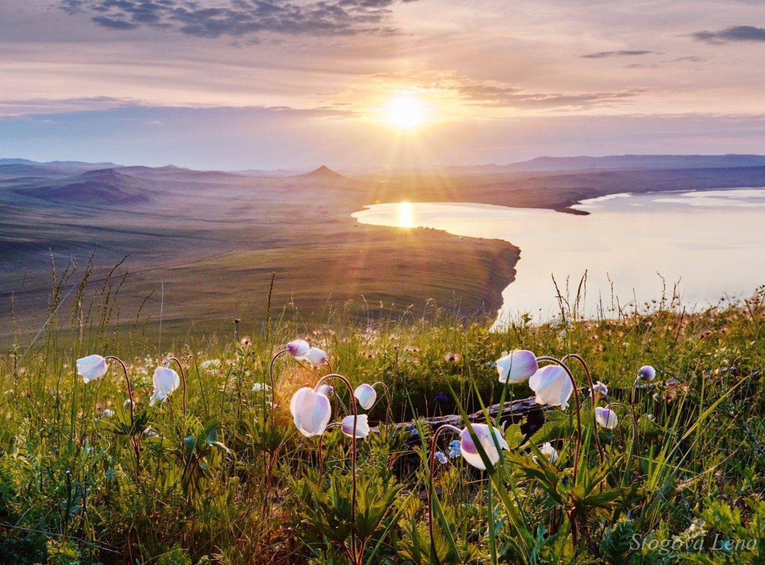 хакасия, Лена Стогова