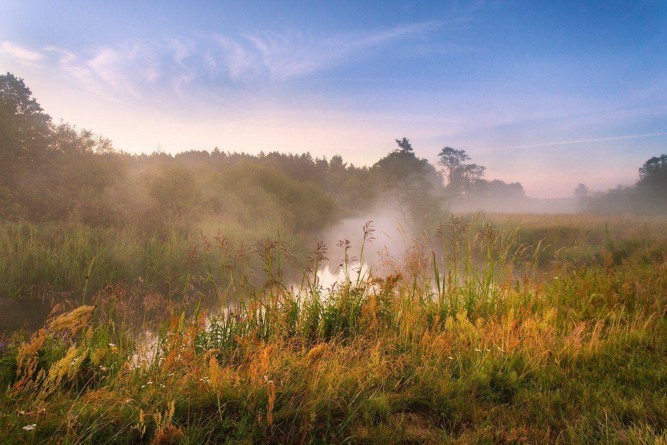 беларусь, июль, лето, неман, туман, утро, Вейзе Максим