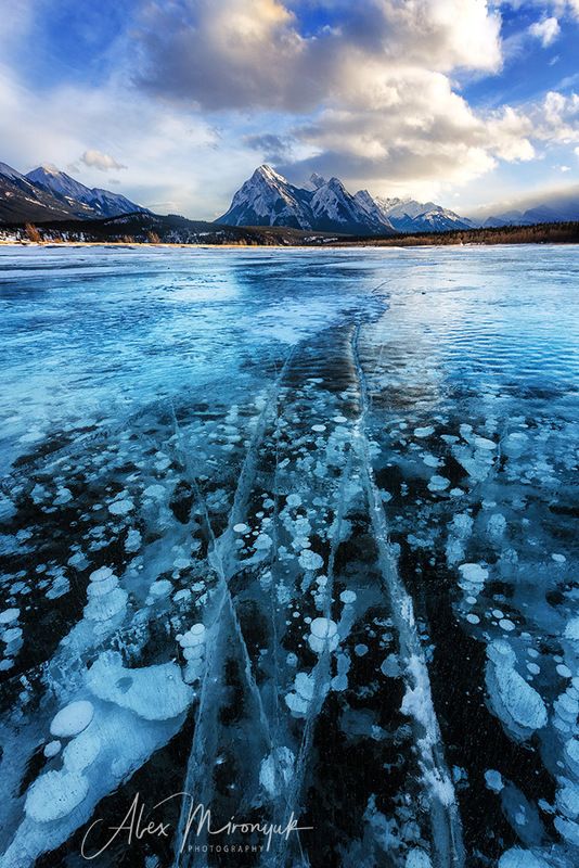 канада, альберта, метан, метанин, пузыри, лед, фото-тур, отражение, зима, снег, лед, горы, озеро, байкал, Зима в Альберте фото превью