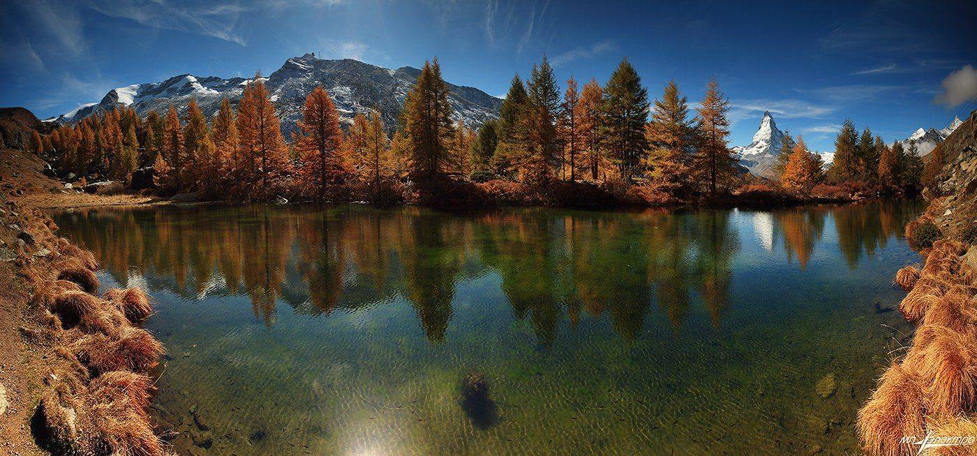 swiss, Матвеев Николай