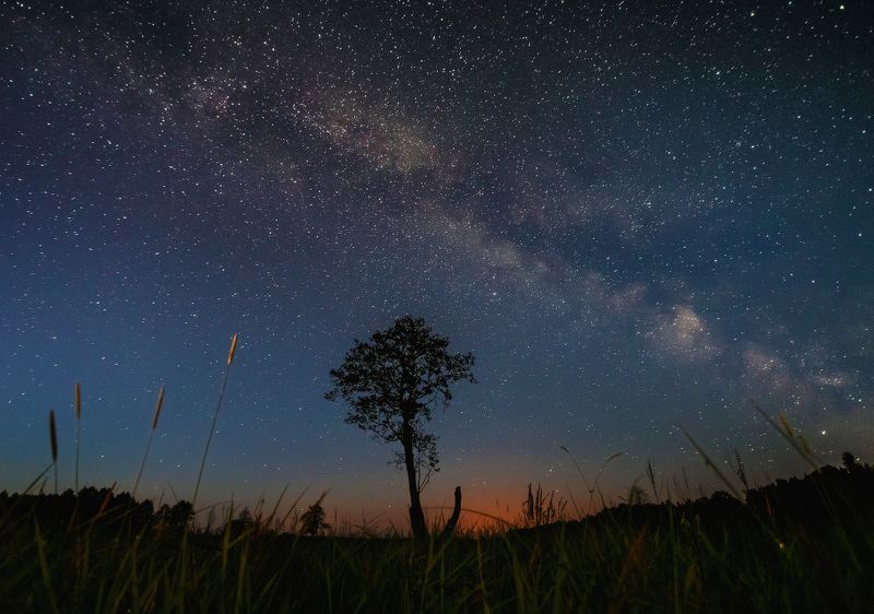 ночь,звезды,млечный путь Летняя ночь.. фото превью