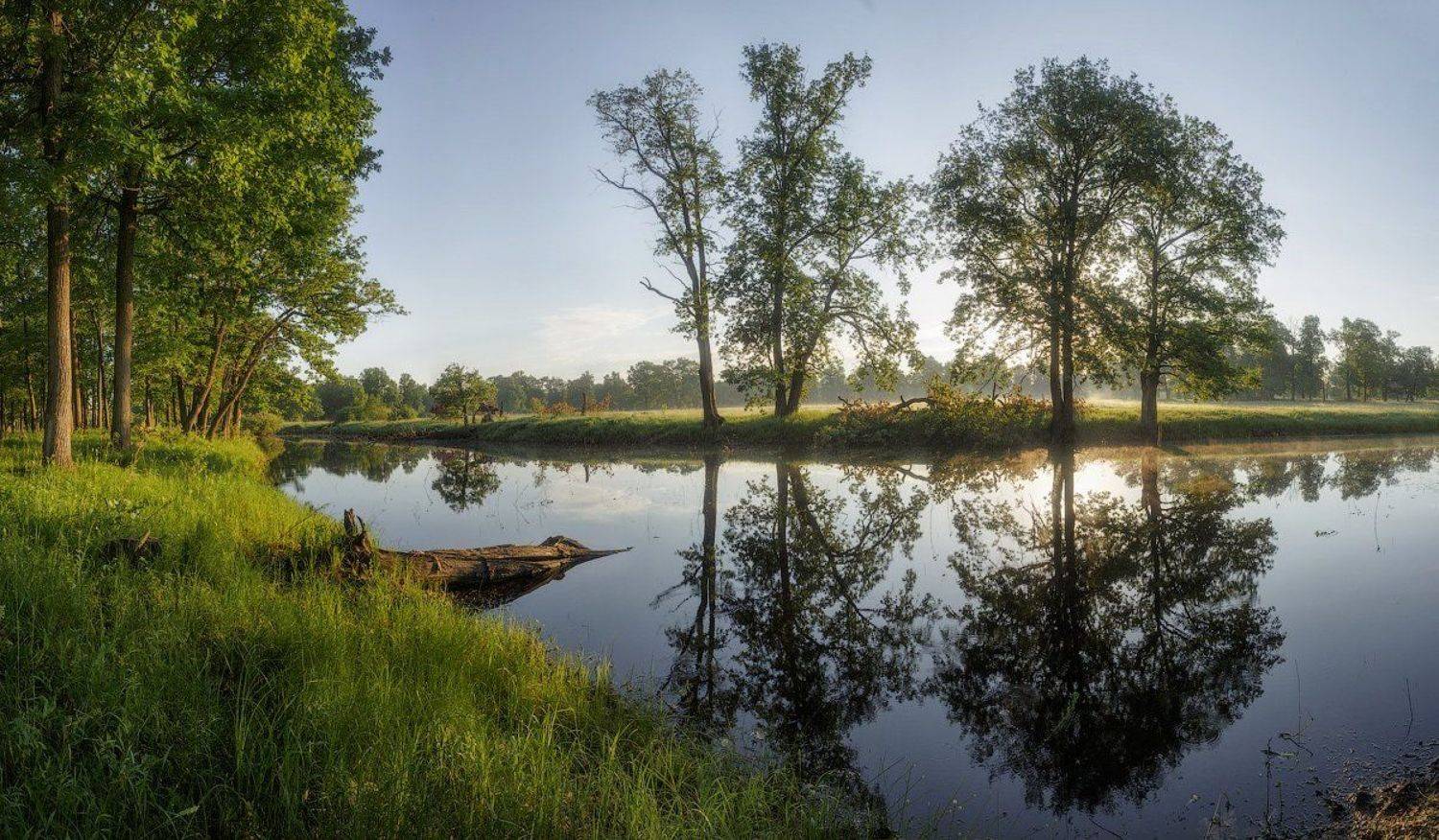 природа утро лето, Михаил Корнилов