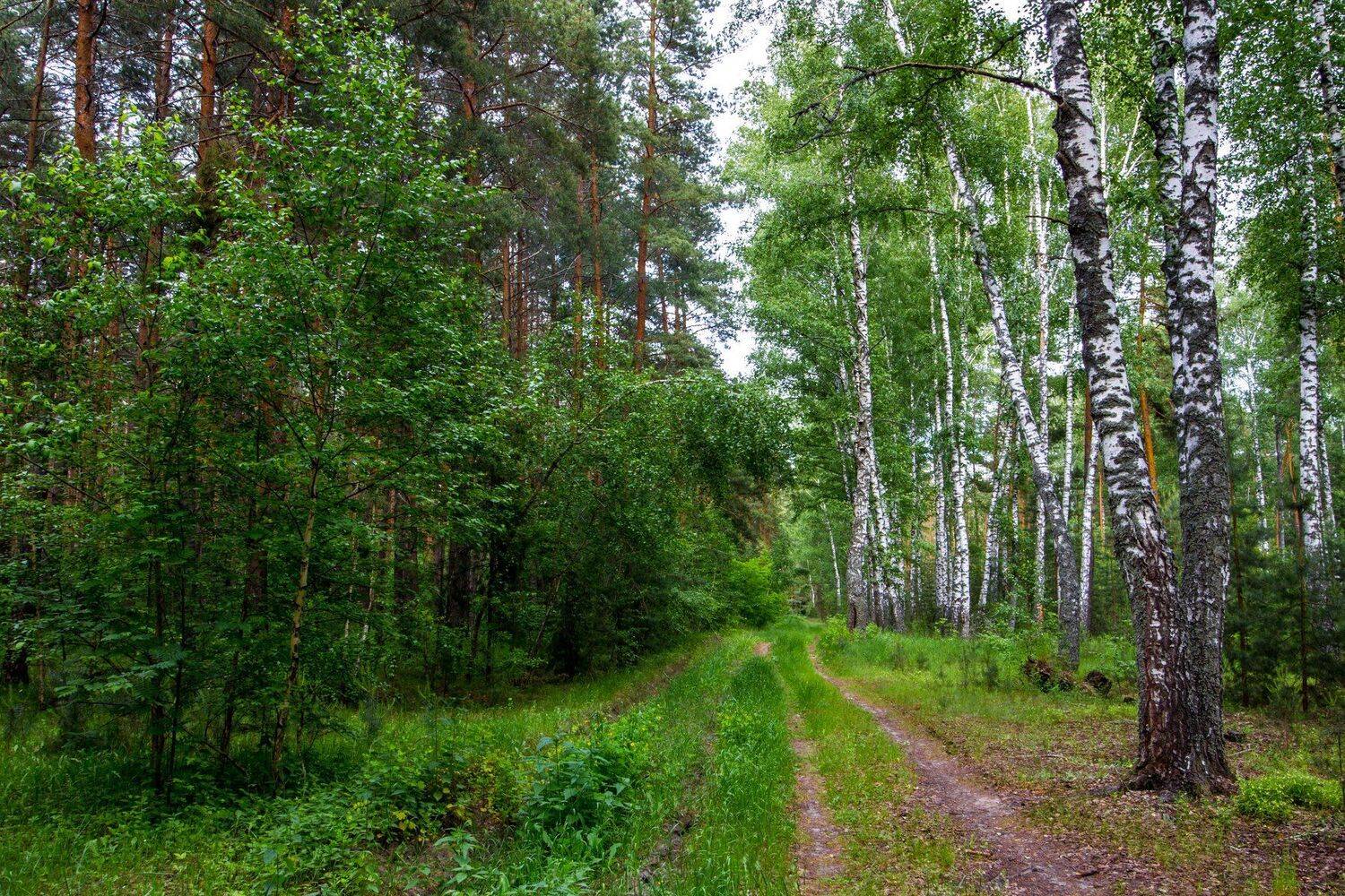 , Руслан Востриков