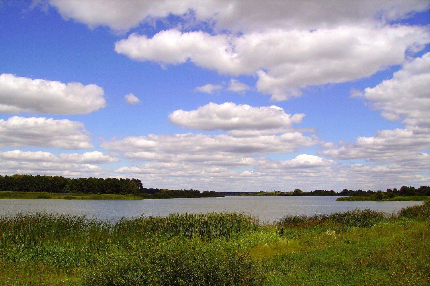 , Руслан Востриков