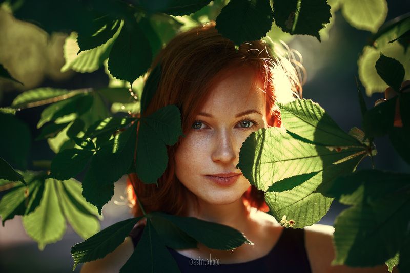 Красное в зеленом фото превью