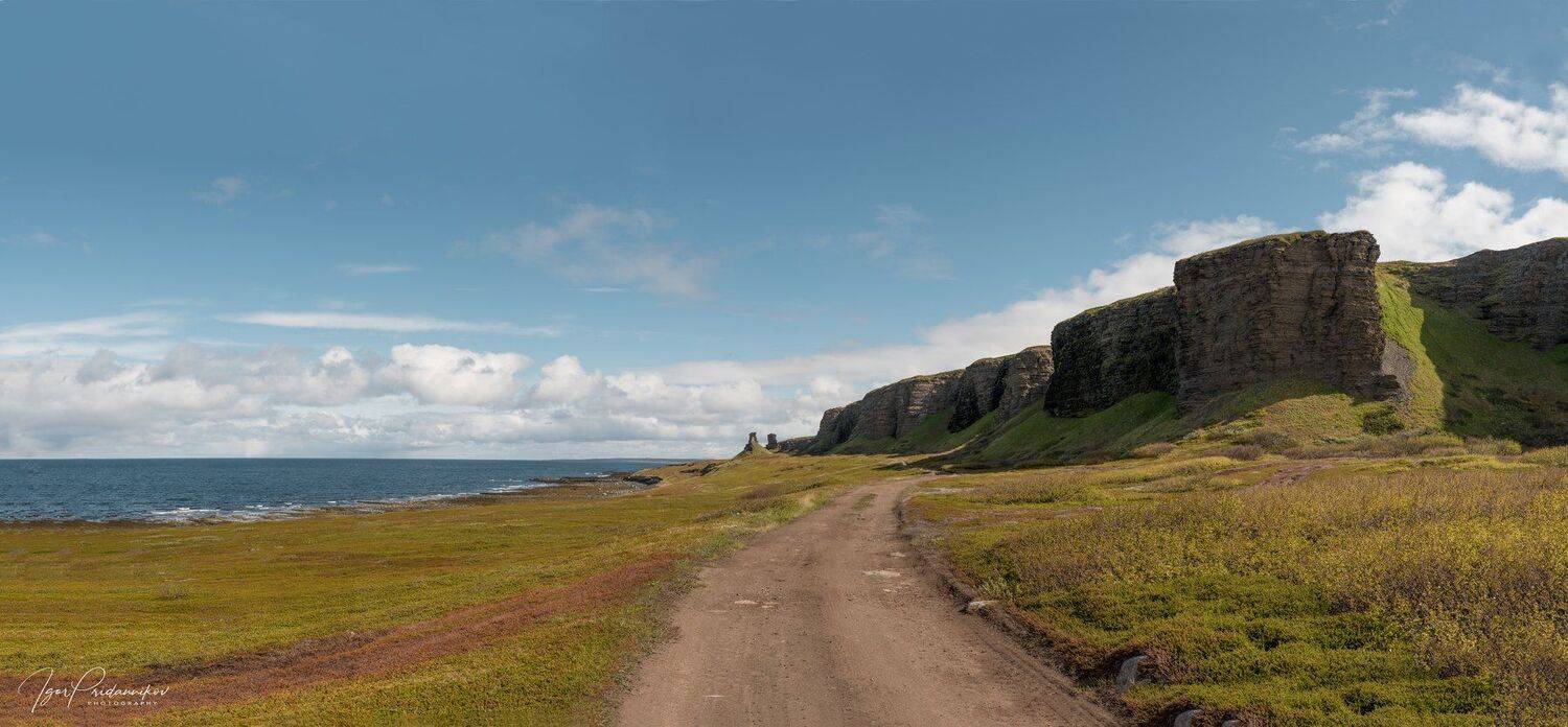 , Игорь Приданников