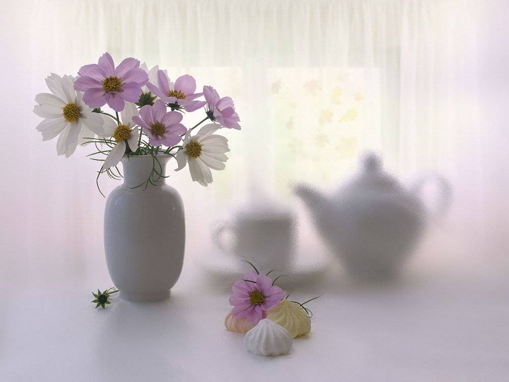 , Анжелика Королева
