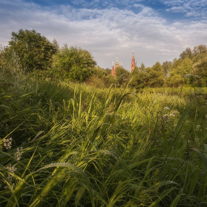 Храм, зелень, лето, небо, сергиевпосад, вера, православие, лето, солнце, россия, пейзаж Черниговский скит  фото превью
