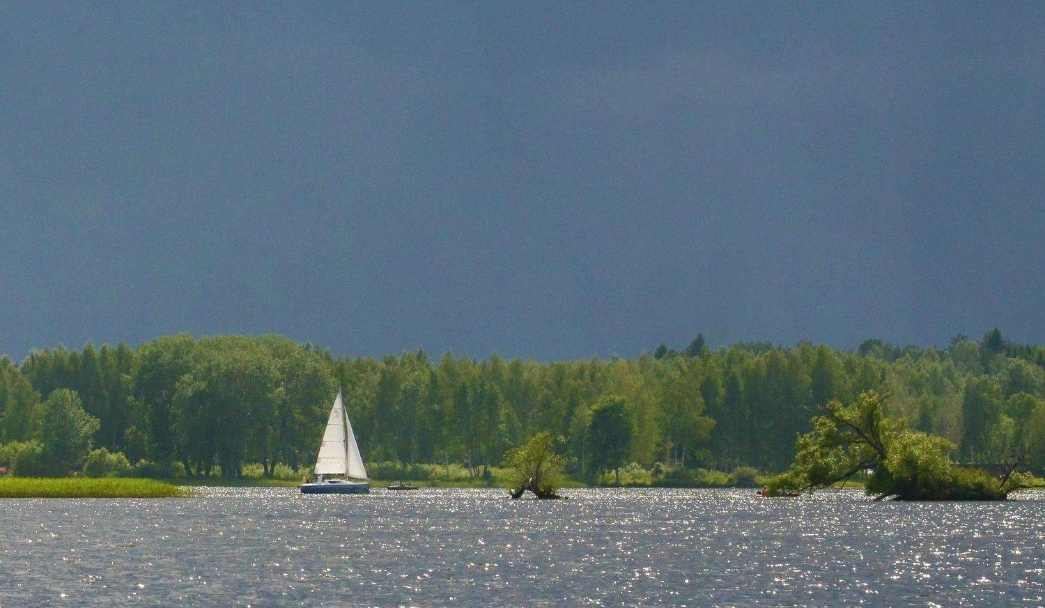 , Сергей Седов