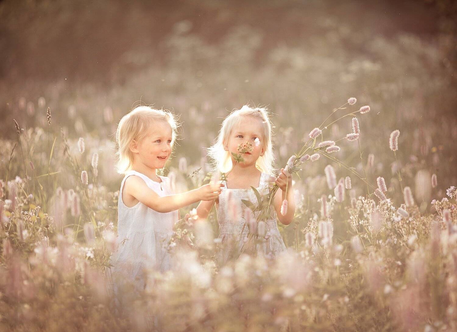 , Елена Силина