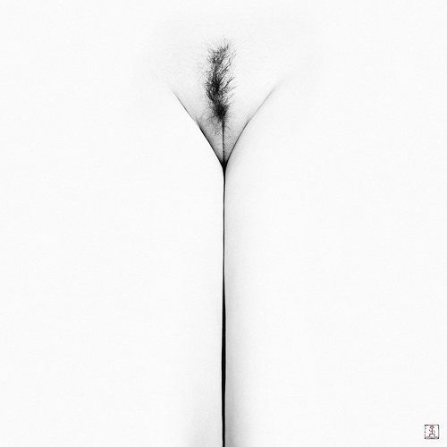***