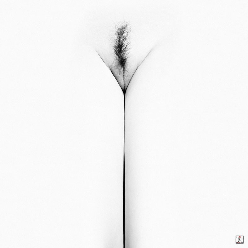 *** *** фото превью