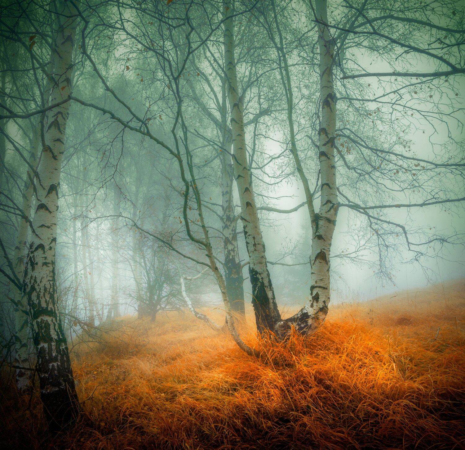 , Александър Александров