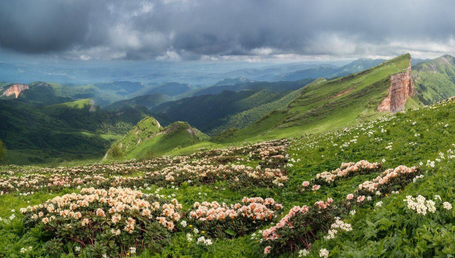 , Алексей Чистяков