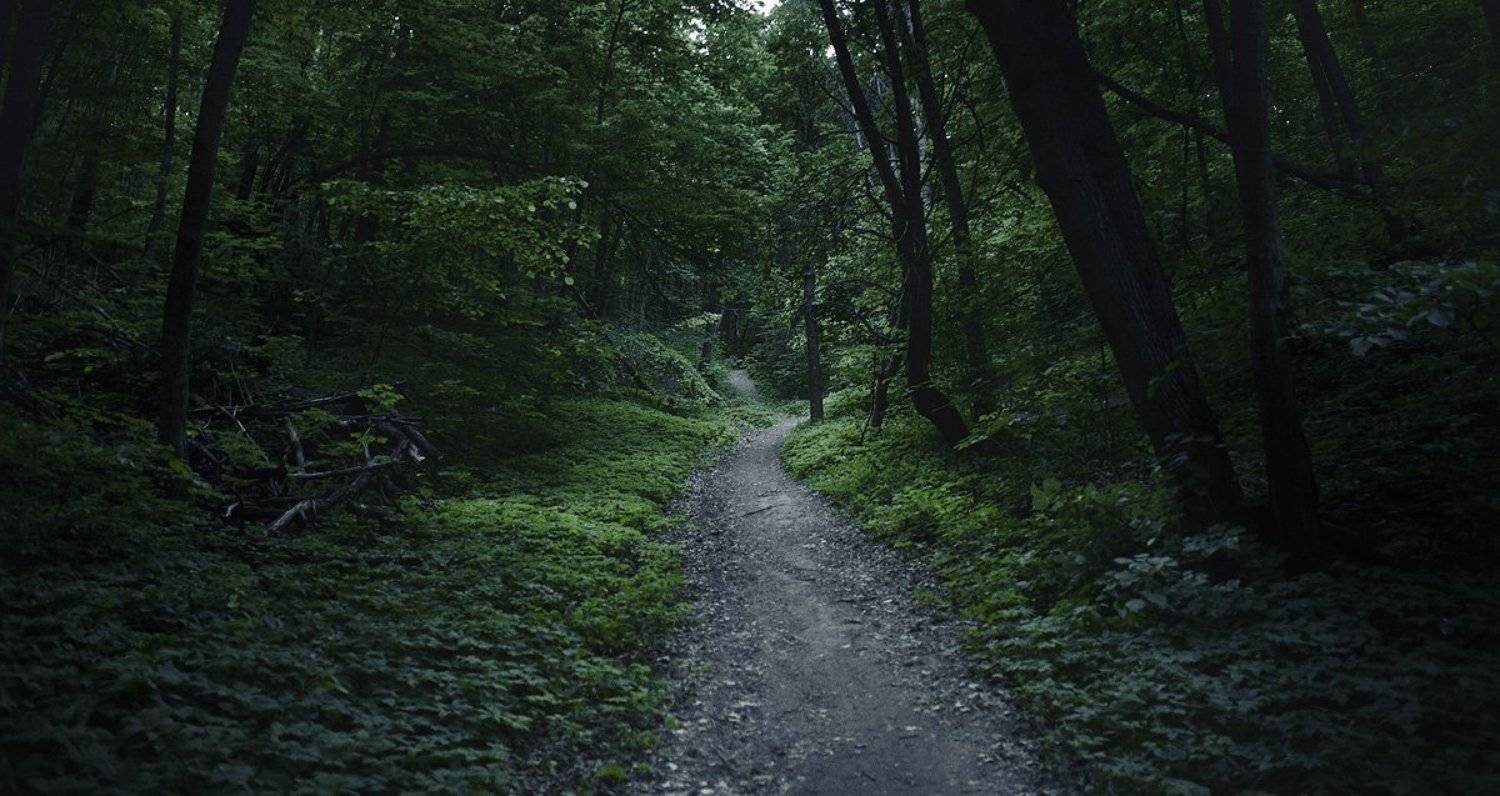 , Дмитрий Журавлев