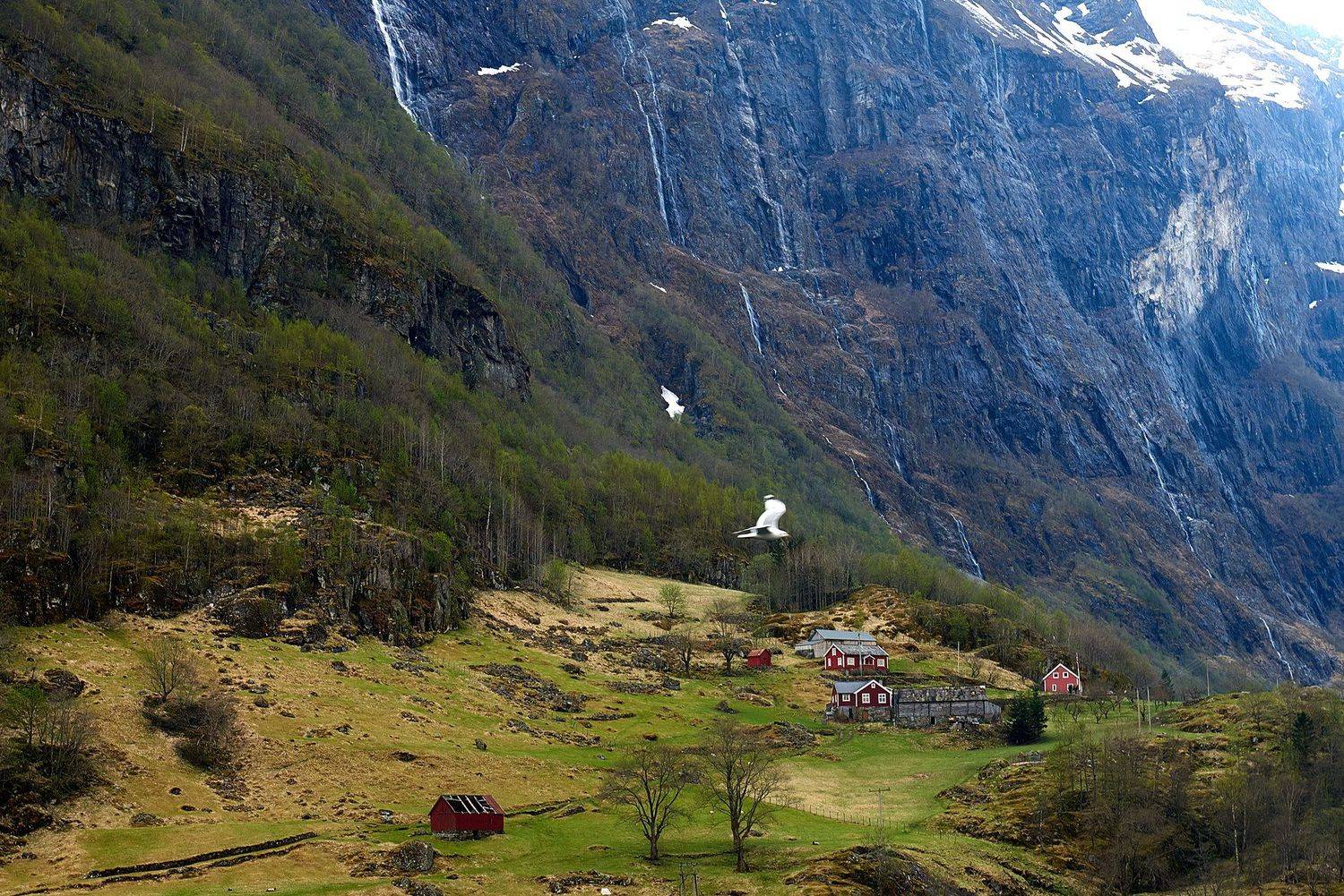 , Алферов Александр