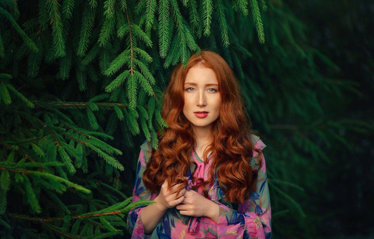 , Анастасия Добровольская