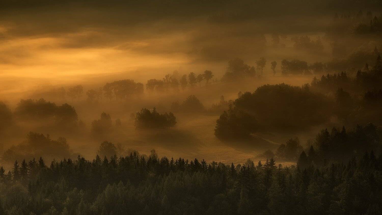 landscape,canon,mist,light,autumn, Iza i Darek Mitręga
