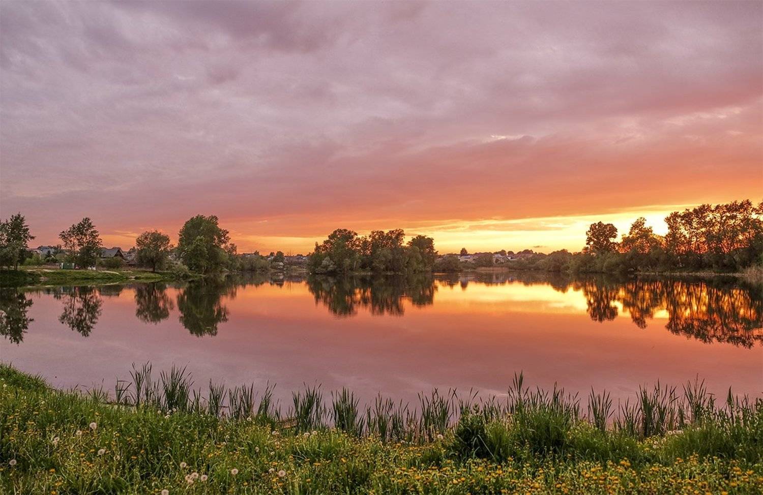 лето,небо,дождь,закат, Natali Bol