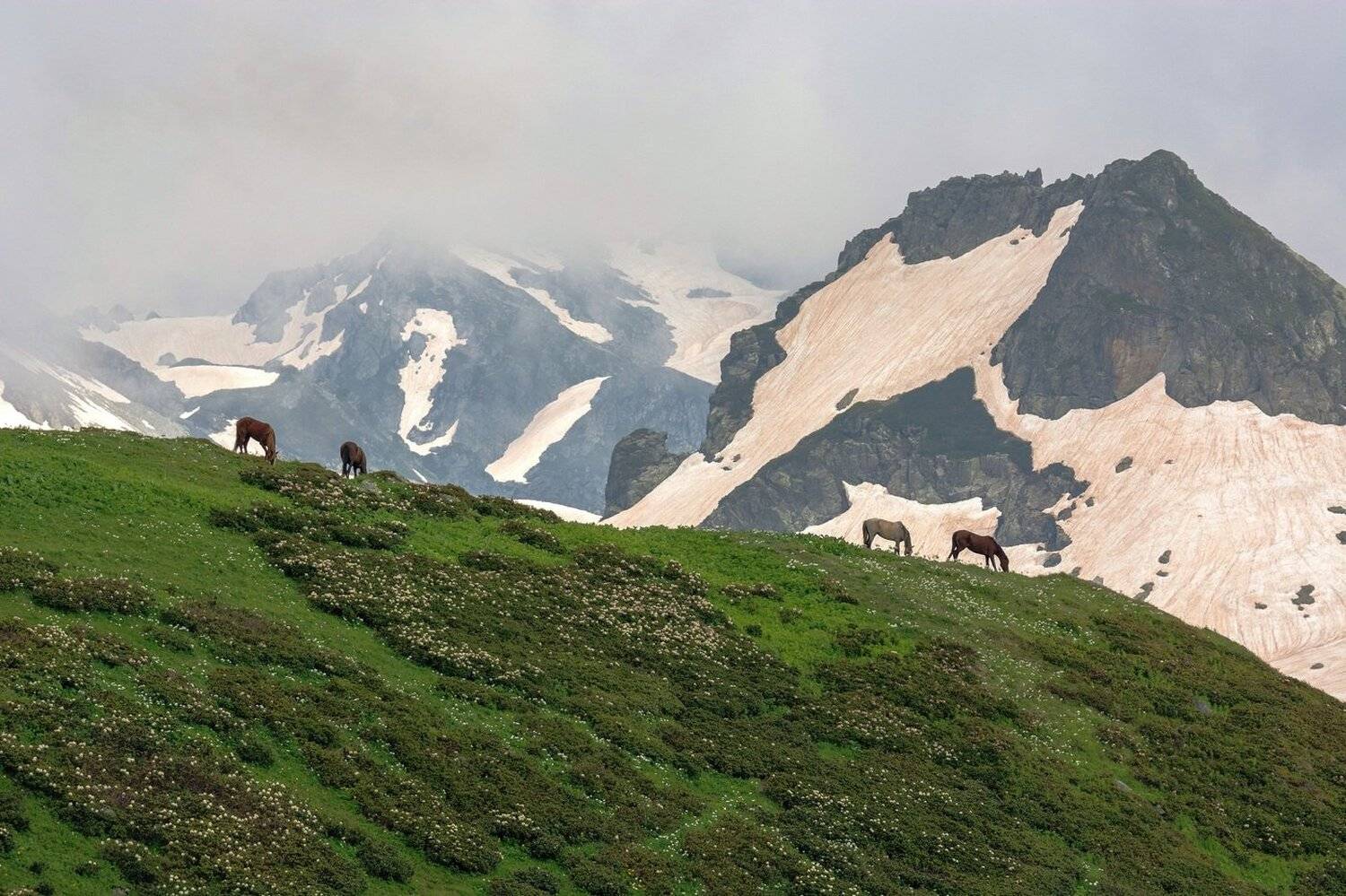 , Руслан Сигушин