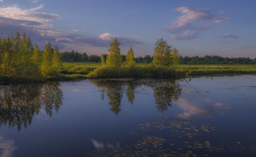 Тишина