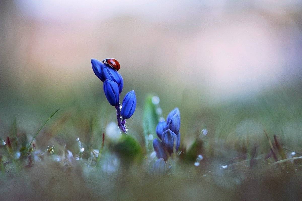 , Grzegorz macrofun Pazdyga