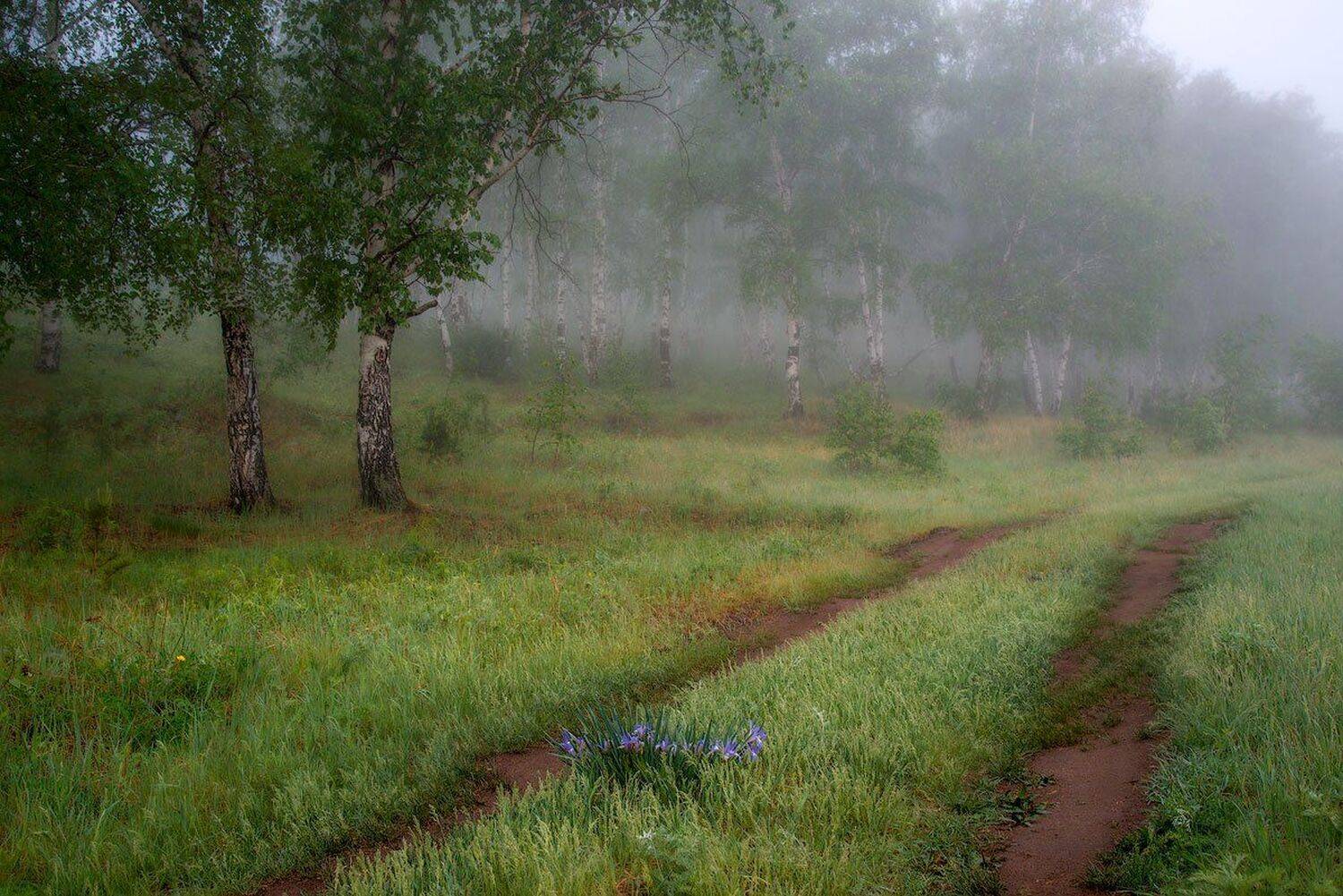 , Сергей Брагин