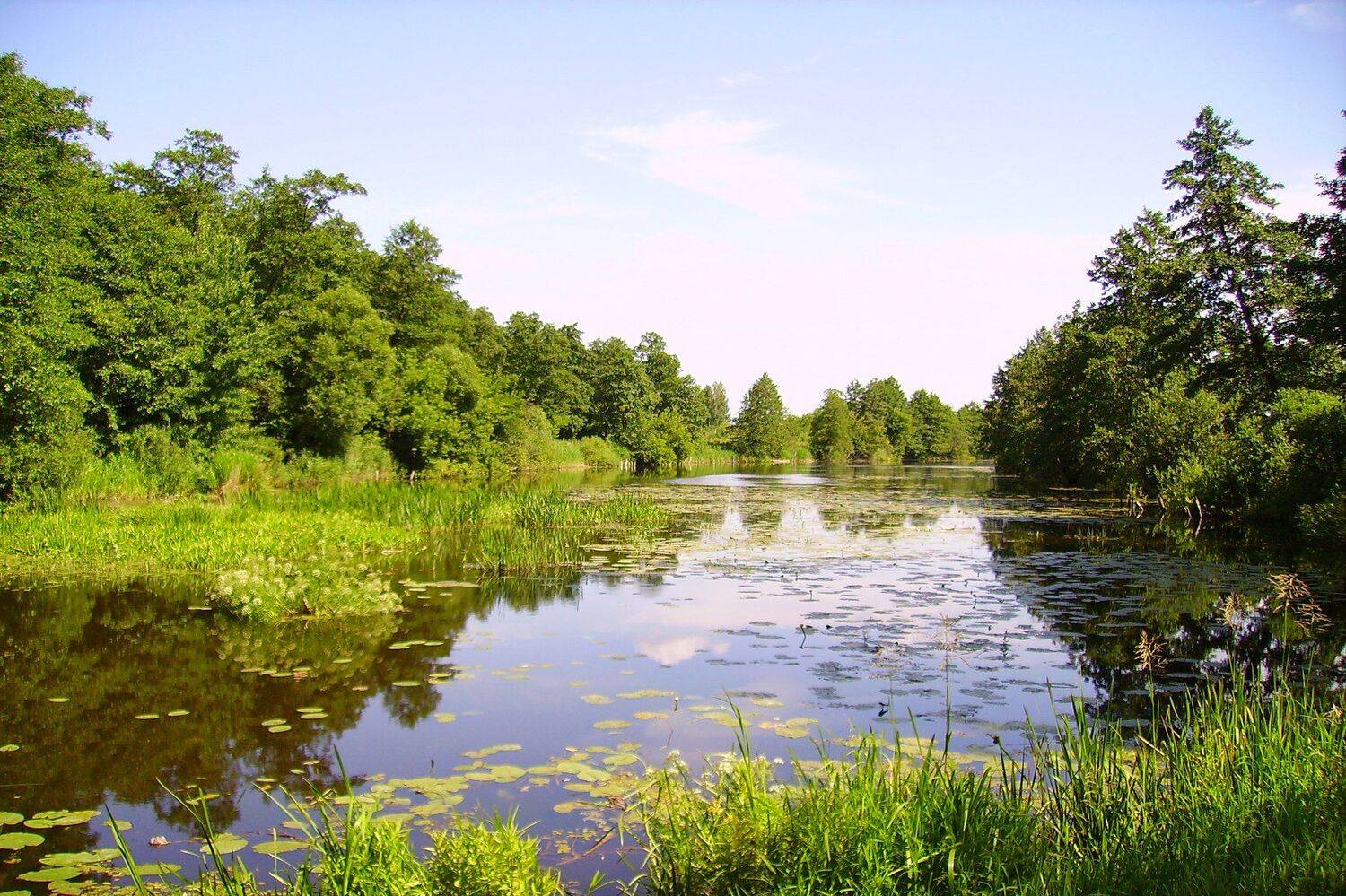 , Руслан Востриков