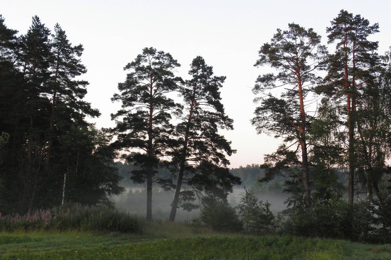 , Руслан Востриков